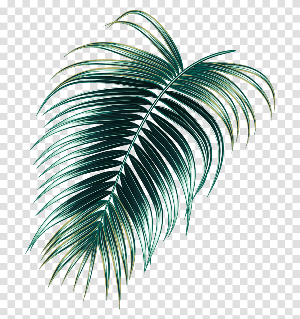 Tropical Rainforest Download Tropical Jungle Leaf, Green, Plant, Pattern, Fractal Transparent Png