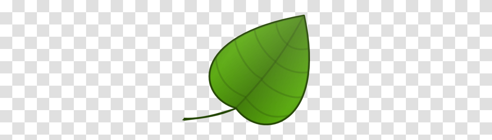Tropical Rainforest Ecosystem Clipart, Tennis Ball, Green, Leaf, Plant Transparent Png