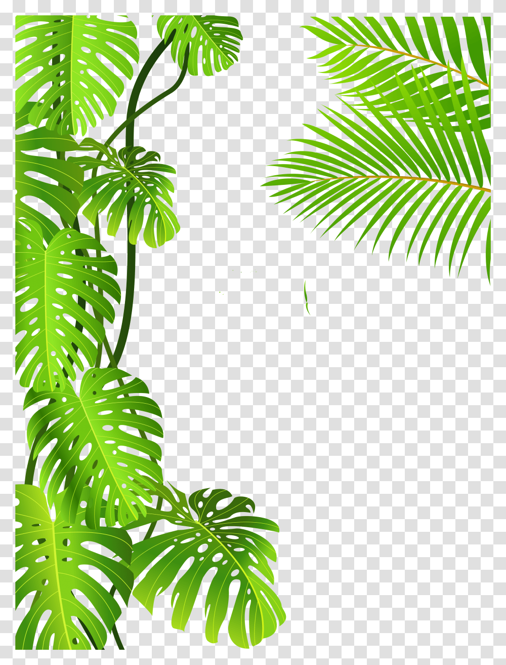 Tropical Rainforest Jungle, Plant, Vegetation, Green, Leaf Transparent Png