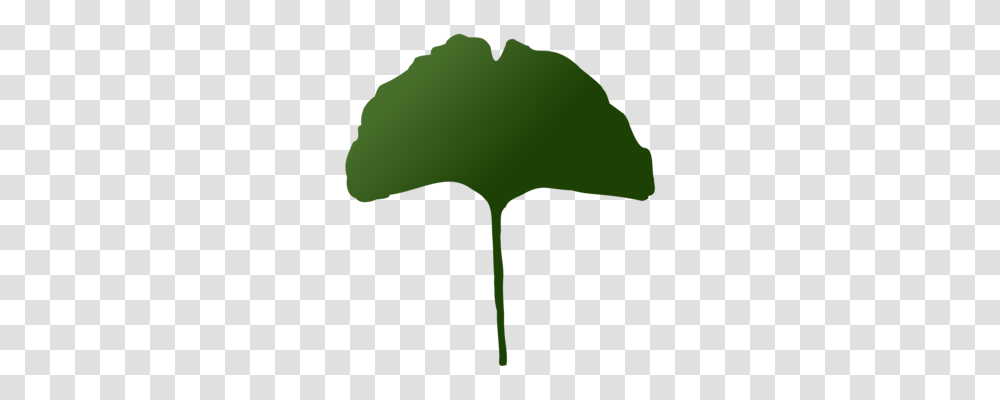 Tropical Rainforest Plants Leaf Drawing Tropics, Vegetable, Food, Produce, Green Transparent Png