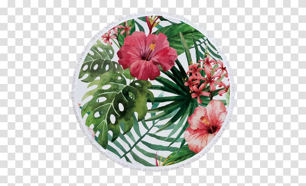 Tropical Roundie, Plant, Flower, Blossom, Floral Design Transparent Png