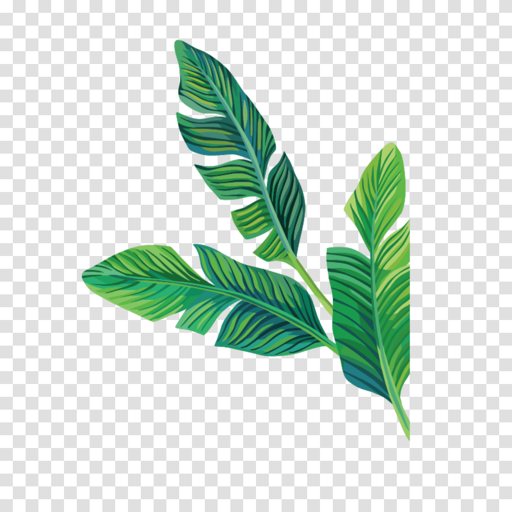 Tropical Stickers Aesthetic Cute Filter Flo, Leaf, Plant, Bird, Animal Transparent Png