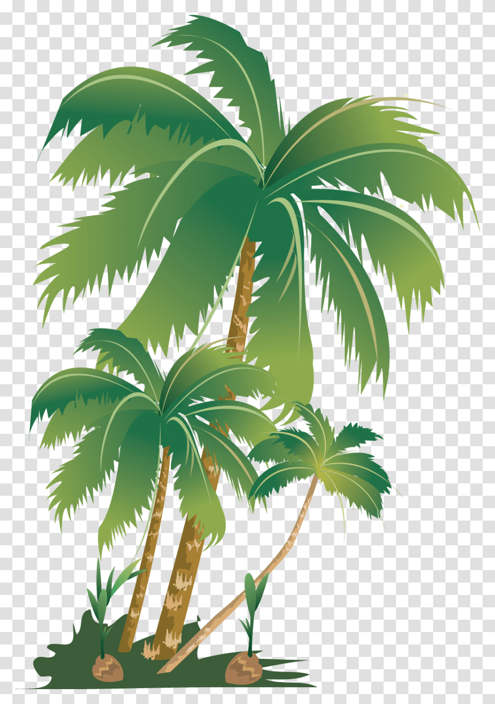 Tropical Summer Palm Tree Palmera Summerfun Sticker Palm Trees, Plant, Arecaceae, Green, Light Transparent Png