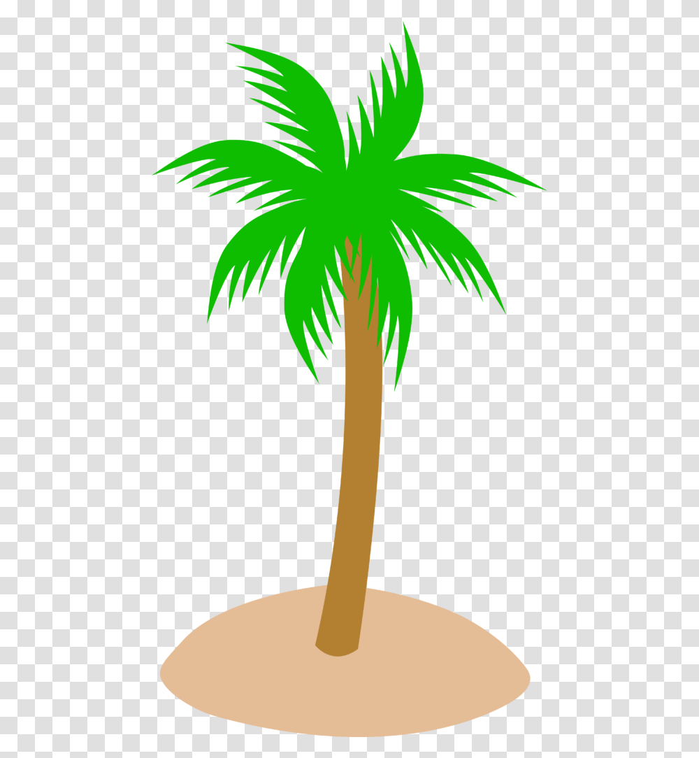 Tropical Vector Palm Leaf Tree Clip Art Free Flower Clipart, Plant, Palm Tree, Arecaceae, Green Transparent Png
