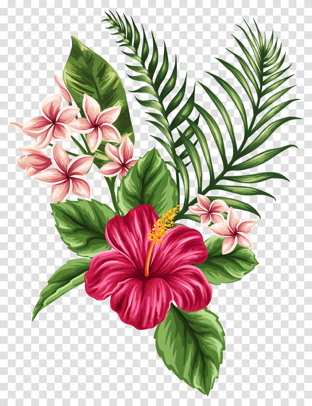 Tropical Watercolor Flowers Leaves Hibiscus Hawaiian Flower Drawing, Plant, Blossom, Geranium, Flower Arrangement Transparent Png