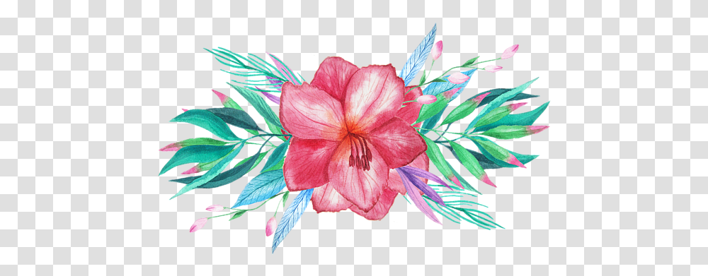 Tropical Watercolor Tropical Watercolor Flowers, Plant, Blossom, Geranium, Petal Transparent Png