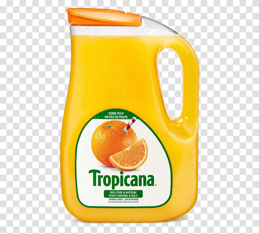 Tropicana 100 Pure Orange Juice Tropicana, Beverage, Drink, Citrus Fruit, Plant Transparent Png