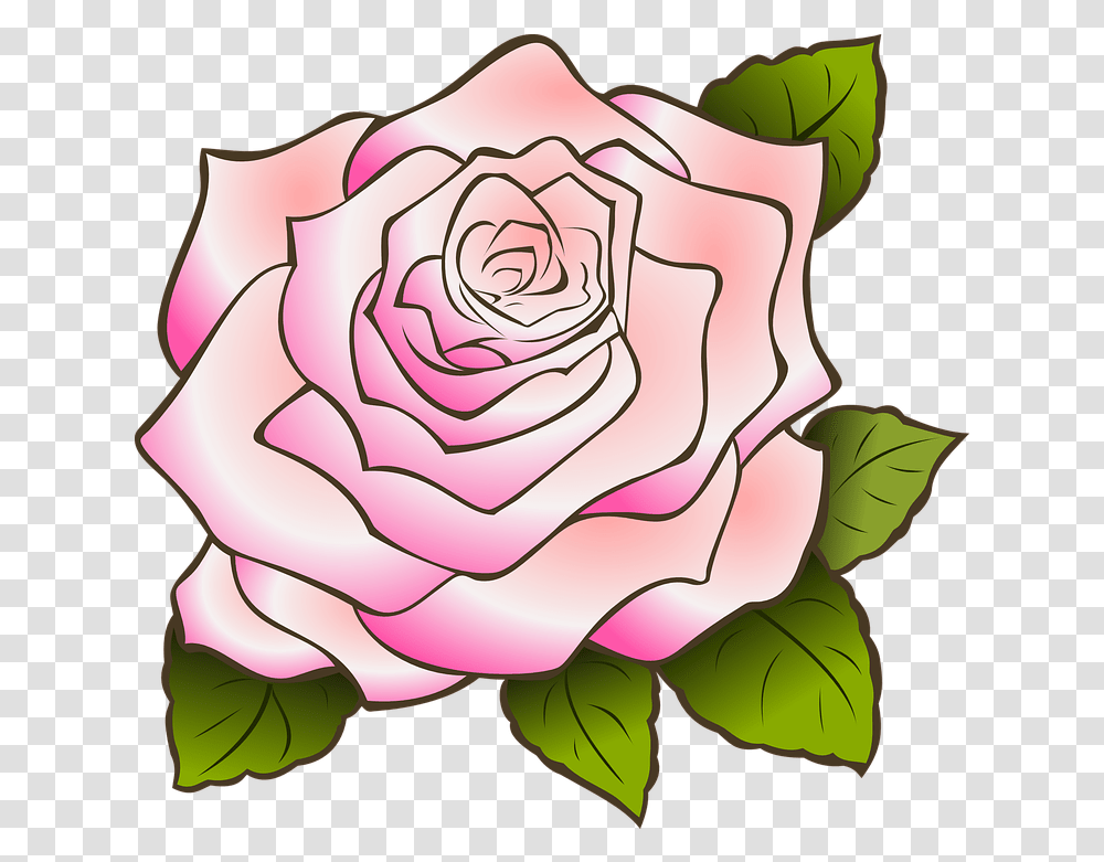 Tropico 5 Radio Quotes Background White Rose Cartoon, Flower, Plant, Blossom, Petal Transparent Png