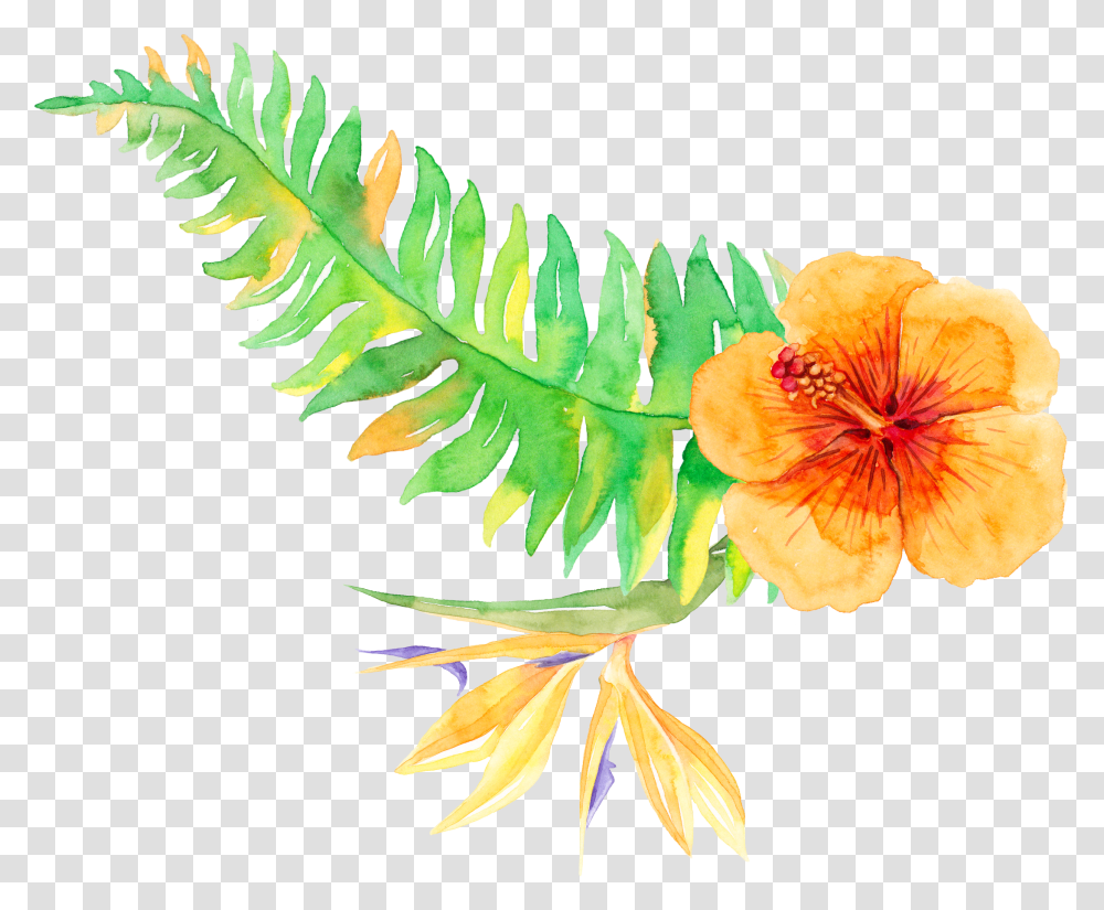 Tropics Plants Vegetation Download Free Tropical Flower Watercolor, Blossom, Fern, Hibiscus Transparent Png