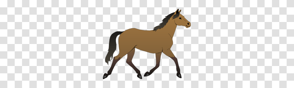 Trotting Brown Horse Clip Art, Colt Horse, Mammal, Animal, Foal Transparent Png