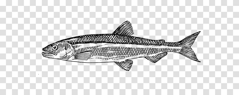 Trout Technology, Gray, World Of Warcraft Transparent Png