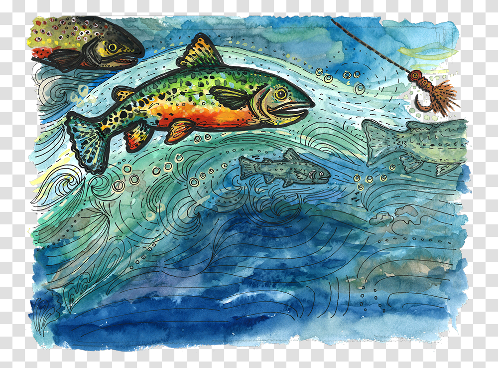Trout, Water, Outdoors, Painting Transparent Png