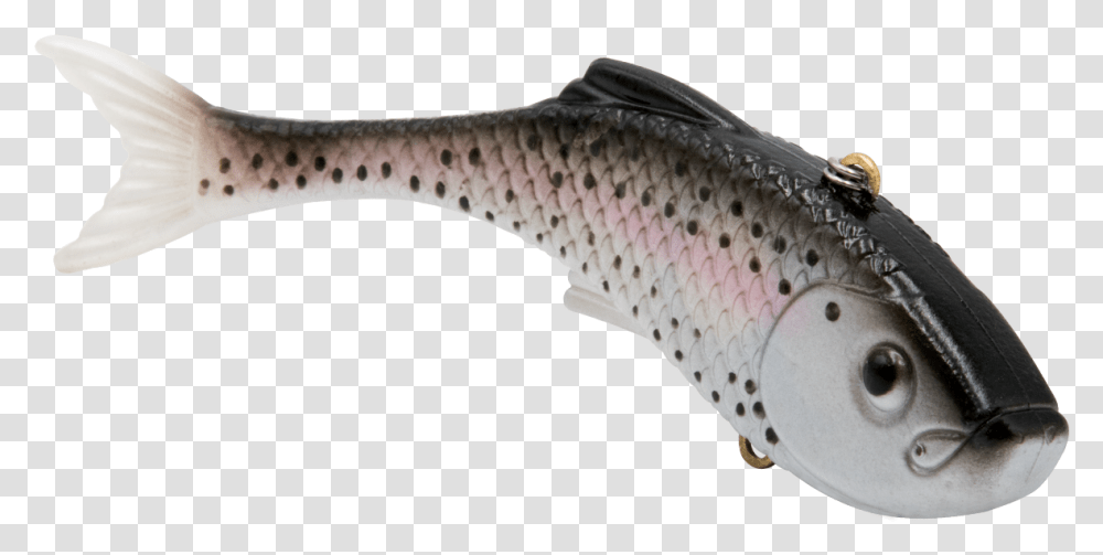 Trout, Axe, Tool, Animal, Fish Transparent Png