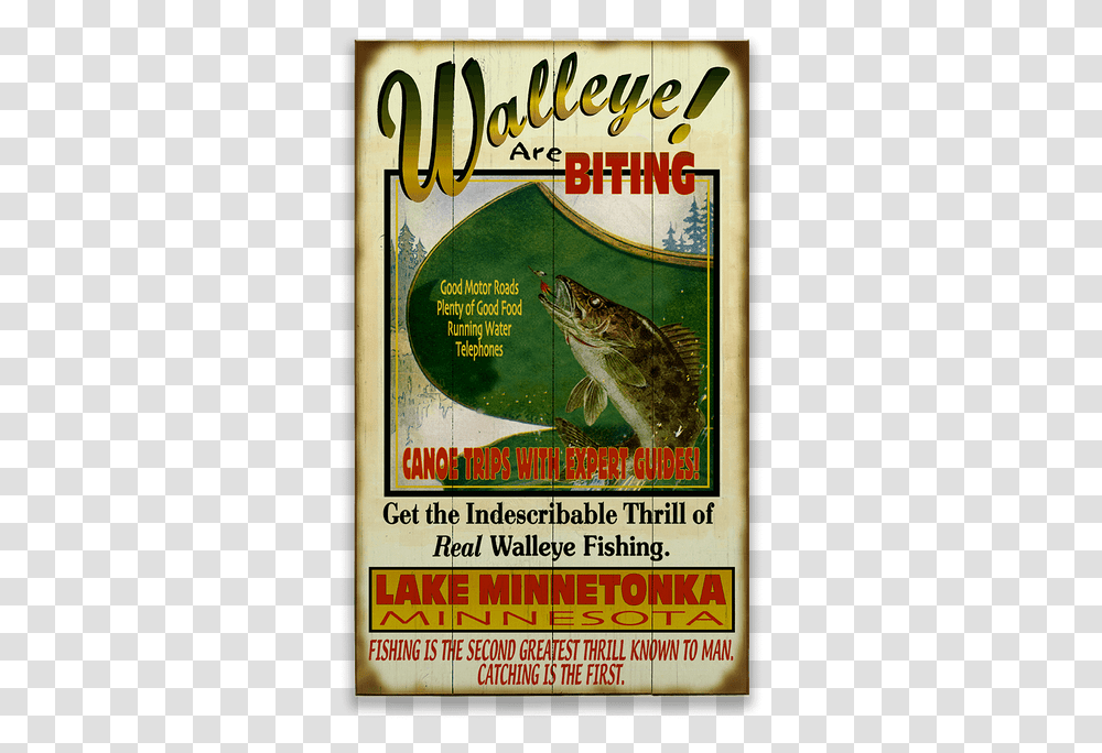 Trout, Bird, Animal, Advertisement, Poster Transparent Png