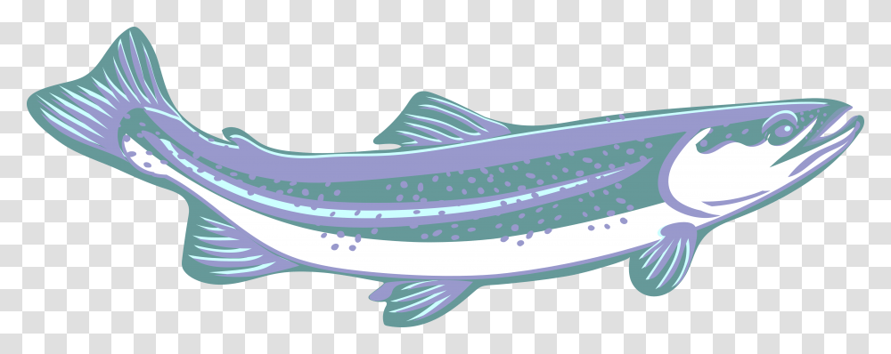 Trout Clip Art Purple Blue White Speckled Curved Trout Clipart, Fish, Animal, Cod, Coho Transparent Png