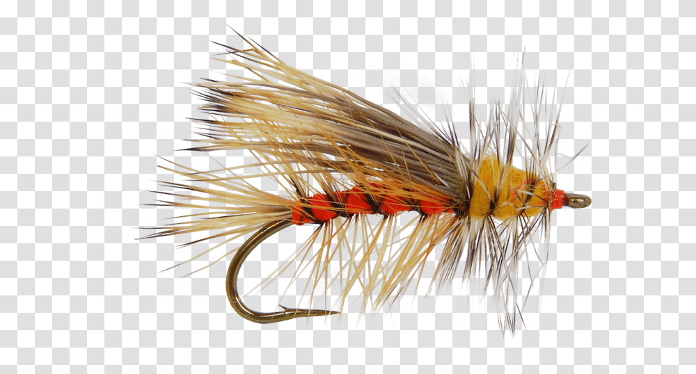 Trout Clipart Dry Fly Fly Fishing Flies, Plant, Bird, Animal, Grain Transparent Png