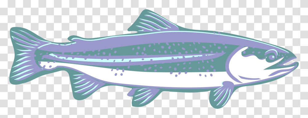 Trout Clipart Speckled Trout Canoe, Coho, Fish, Animal, Cod Transparent Png