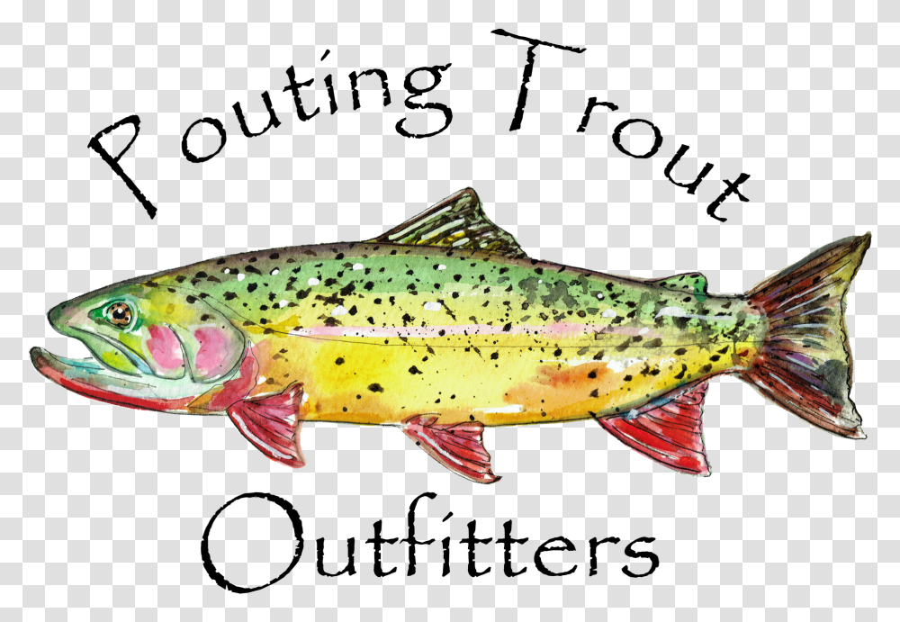 Trout Download Brown Trout, Fish, Animal Transparent Png