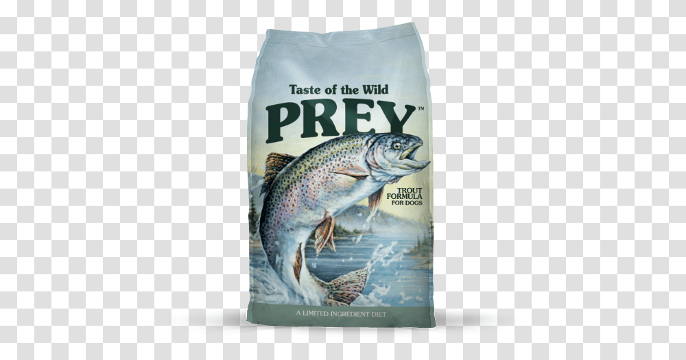 Trout, Fish, Animal, Coho, Perch Transparent Png