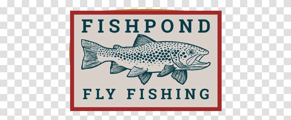 Trout, Fish, Animal, Coho, Postal Office Transparent Png