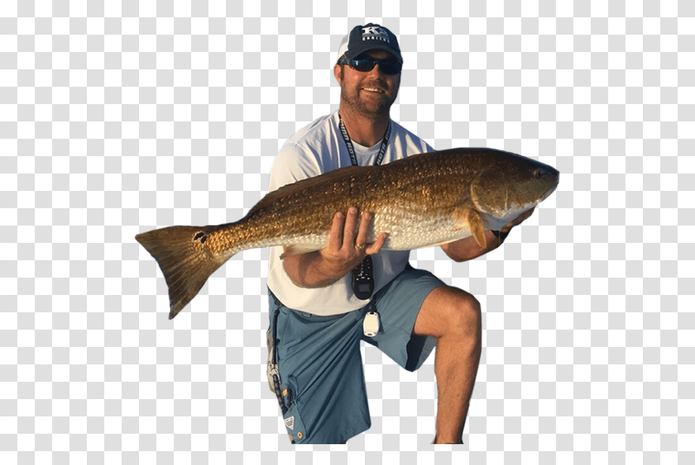 Trout, Fish, Animal, Person, Human Transparent Png