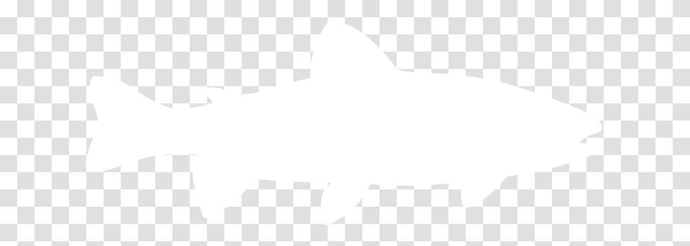 Trout, Fish, Animal, Sea Life, Shark Transparent Png