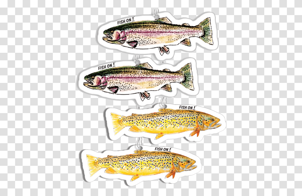 Trout Fresheners Trout, Fish, Animal, Coho, Cod Transparent Png