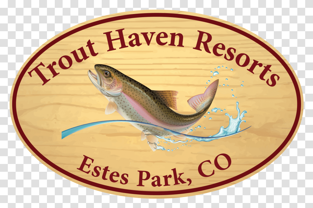 Trout Haven Resorts Mcfarland Johnson, Fish, Animal, Carp, Eel Transparent Png