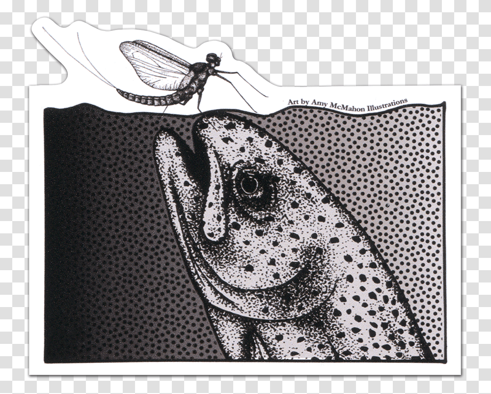 Trout Illustration, Rug, Accessories, Accessory, Drawing Transparent Png