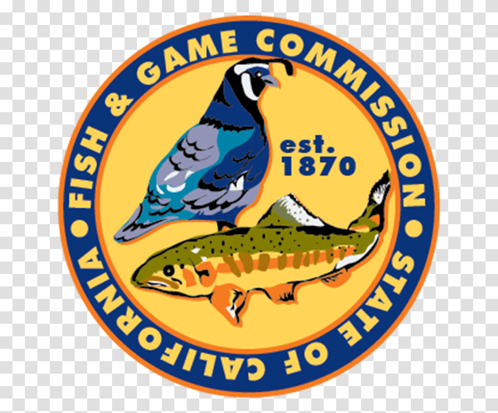 Trout, Jay, Bird, Animal, Fish Transparent Png