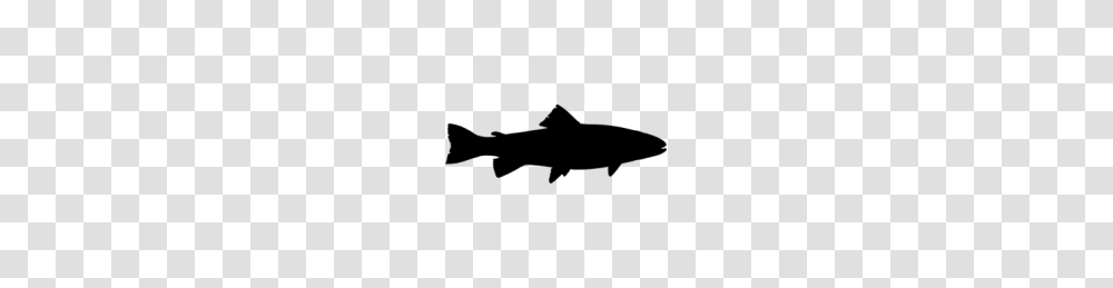 Trout Silhouette Clip Art Free, Gray, World Of Warcraft Transparent Png