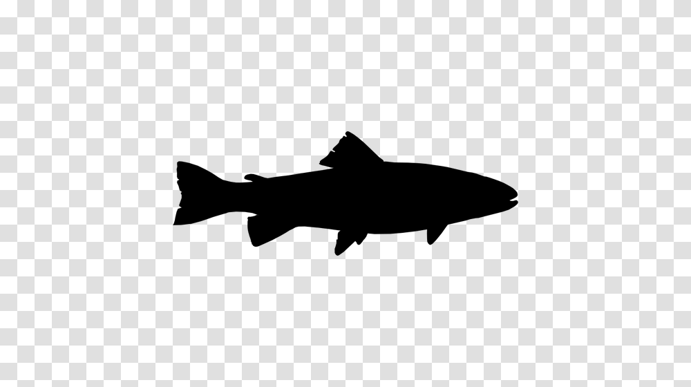 Trout Vector Free Images, Gray, World Of Warcraft Transparent Png