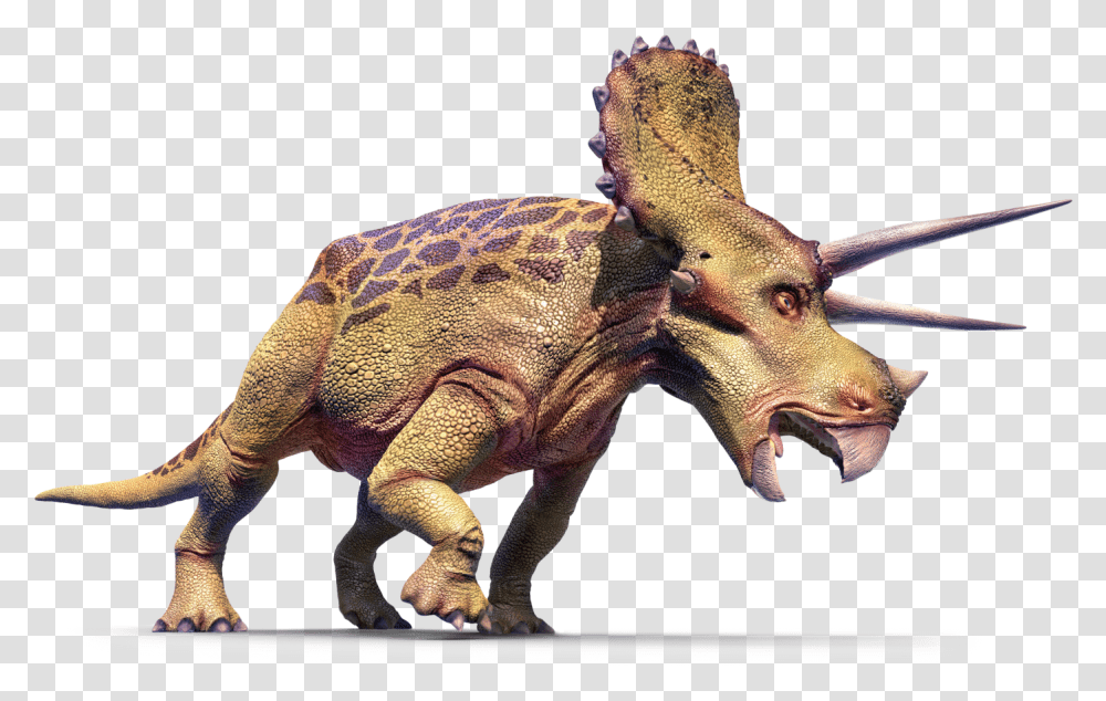 True Dinosaurs, Reptile, Animal, T-Rex, Lizard Transparent Png