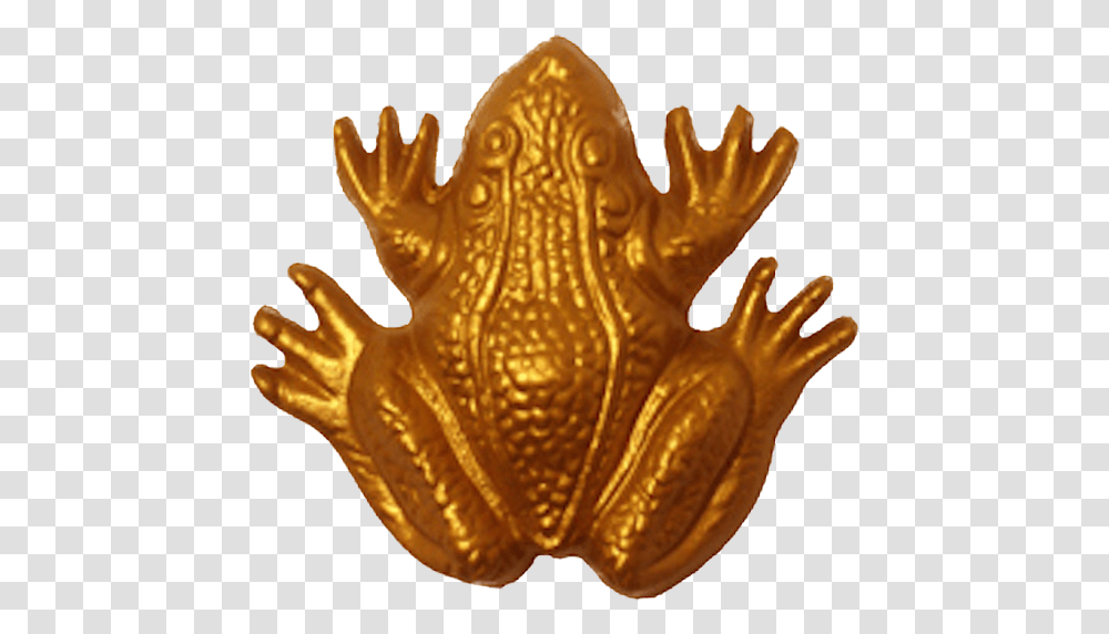True Frog, Bronze, Gold, Animal, Sea Life Transparent Png
