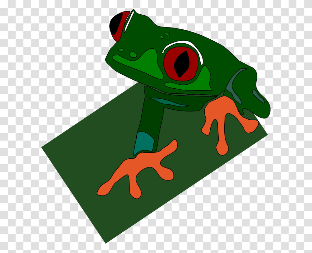 True Frog The Tree Frog Lithobates Clamitans Red Eyed Tree Frog, Amphibian, Wildlife, Animal Transparent Png