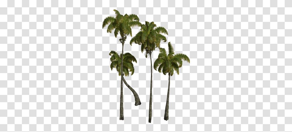 Trujen Best Free Background Clip Art Palm Tree Cluster, Plant, Vegetation, Arecaceae, Leaf Transparent Png