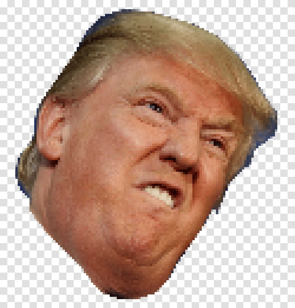 Trump Angry Face Donald Trump Head, Laughing, Skin, Jaw, Portrait Transparent Png