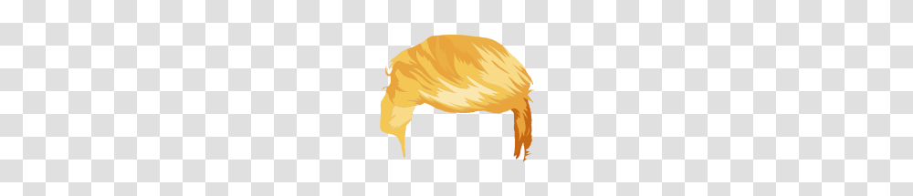 Trump Blond Hair, Animal, Mammal, Bird, Golden Retriever Transparent Png