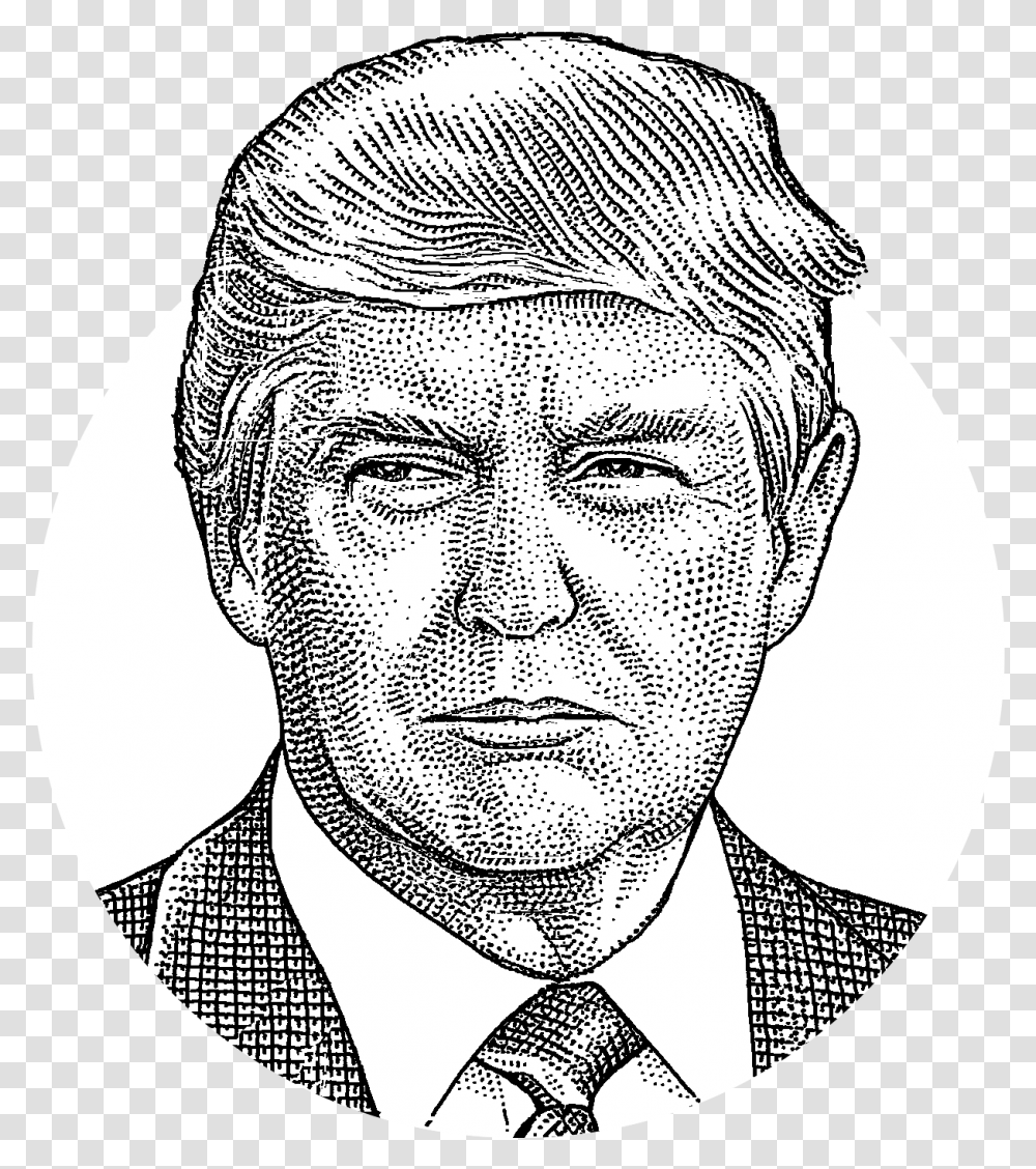 Trump Clipart Trump Clipart, Drawing, Person, Human, Face Transparent Png