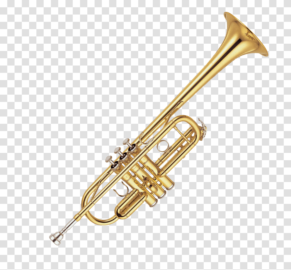 Trump Donald, Trumpet, Horn, Brass Section, Musical Instrument Transparent Png