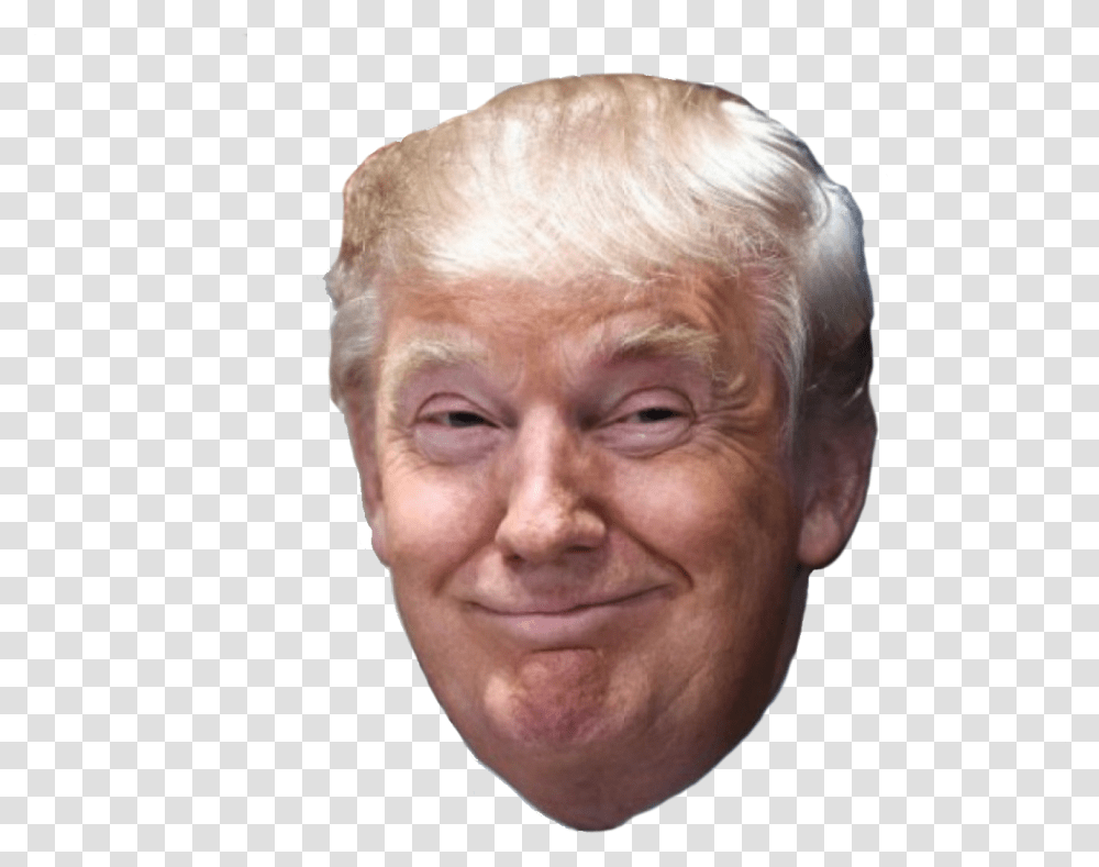 Trump Face Clipart Background Donald Trump Face, Head, Person, Human, Portrait Transparent Png