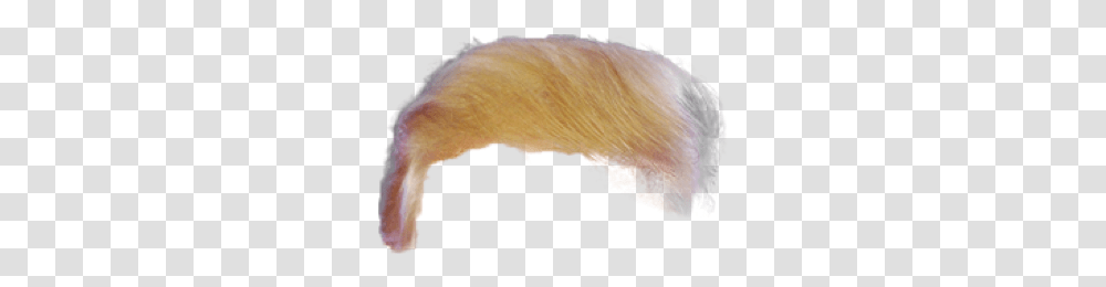 Trump Hair 6 Image Sketch, Nature, Outdoors, Mountain, Outer Space Transparent Png