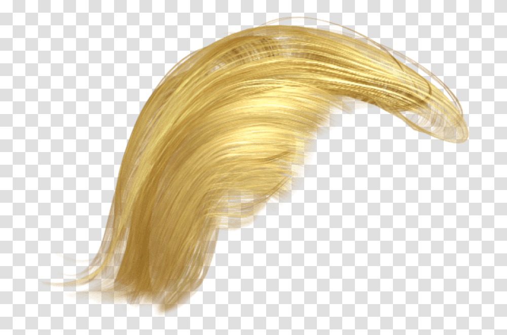 Trump Hair Background Trump Hair, Fungus, Lute, Musical Instrument Transparent Png
