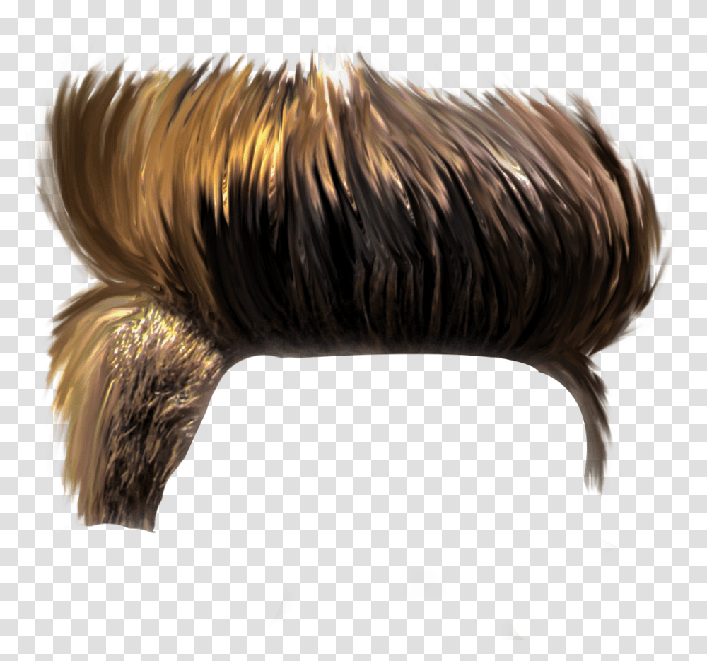 Trump Hair Boy Picsart Hair, Chicken, Bird, Animal, Pattern Transparent Png