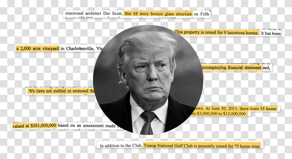 Trump Statements, Head, Advertisement, Poster, Person Transparent Png