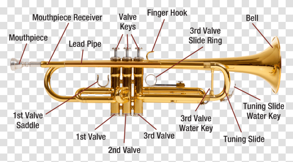 Trumpet Diagram Image, Horn, Brass Section, Musical Instrument, Cornet Transparent Png