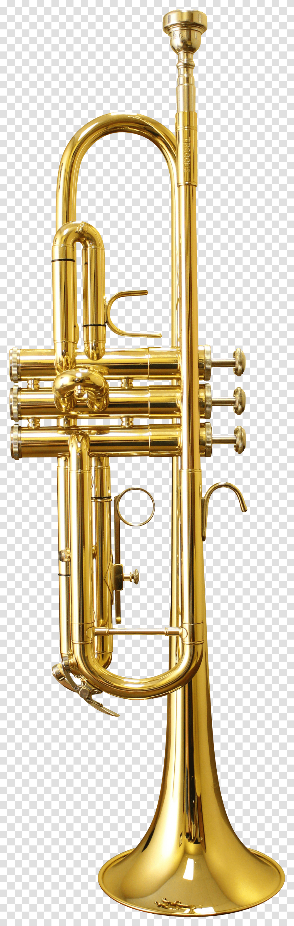 Trumpet, Flugelhorn, Brass Section, Musical Instrument, Cornet Transparent Png