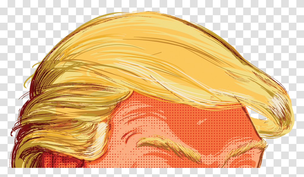Trumps Hair Trump Hair, Modern Art, Bird Transparent Png