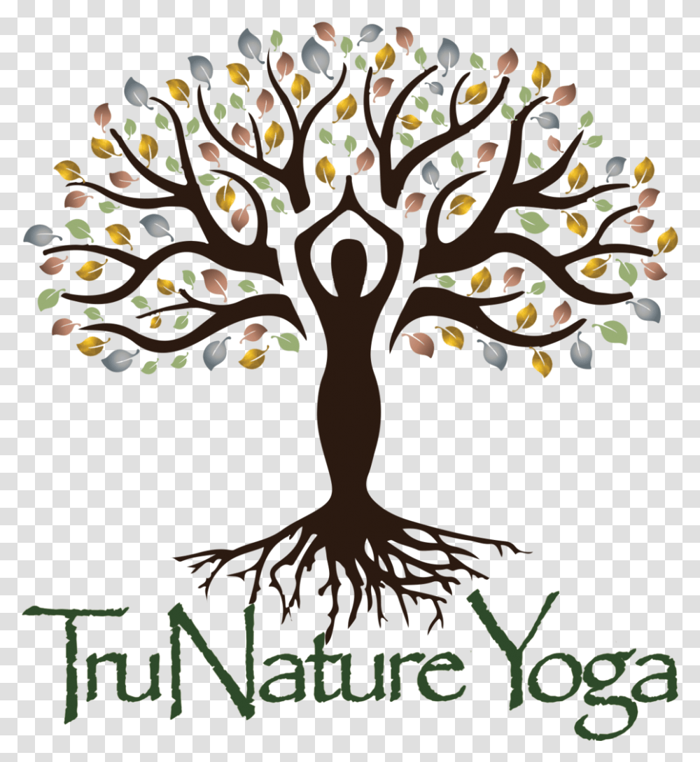 Trunatureyoga Clean Social Media Logo Tree, Plant, Root, Bonsai, Potted Plant Transparent Png