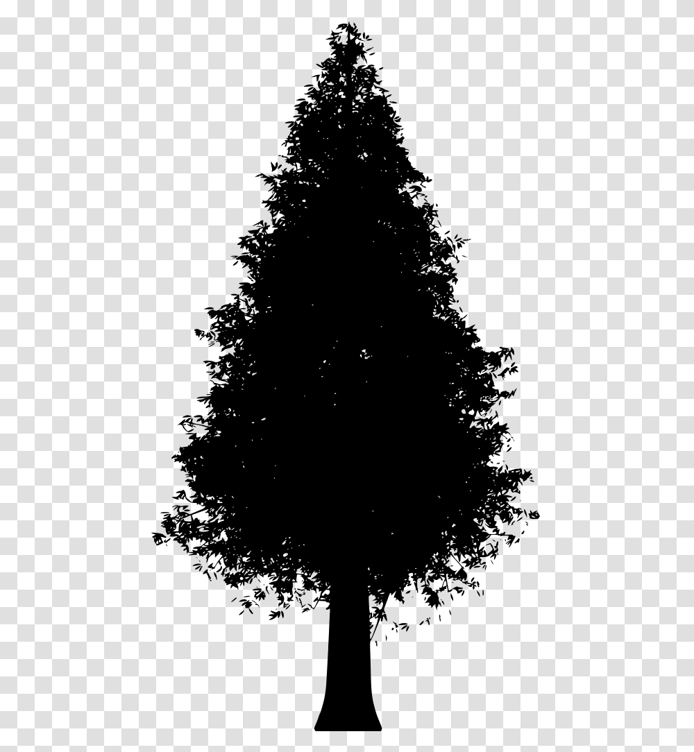 Trunk Spruce, Gray, World Of Warcraft Transparent Png